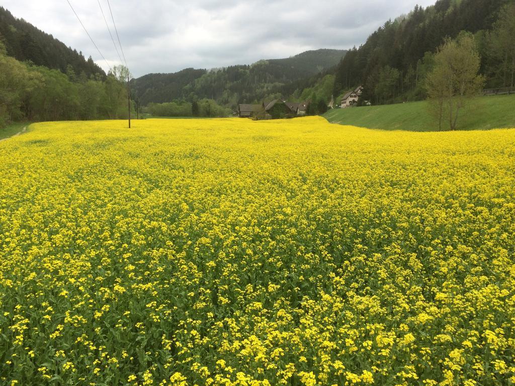 Seegasthof Breineder - Familien & Seminarhotel Monichwald Luaran gambar